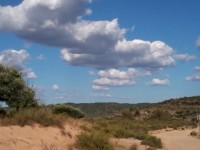 /album/fotogaleria/movil-091-jpg/